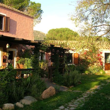 San Gregorio  La Fattoria Delle Tartarugheヴィラ エクステリア 写真