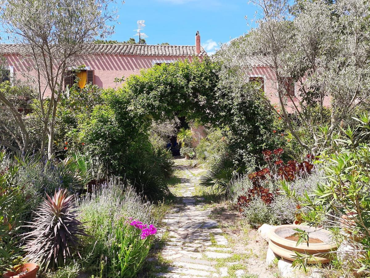San Gregorio  La Fattoria Delle Tartarugheヴィラ エクステリア 写真