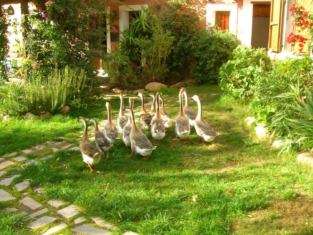 San Gregorio  La Fattoria Delle Tartarugheヴィラ エクステリア 写真