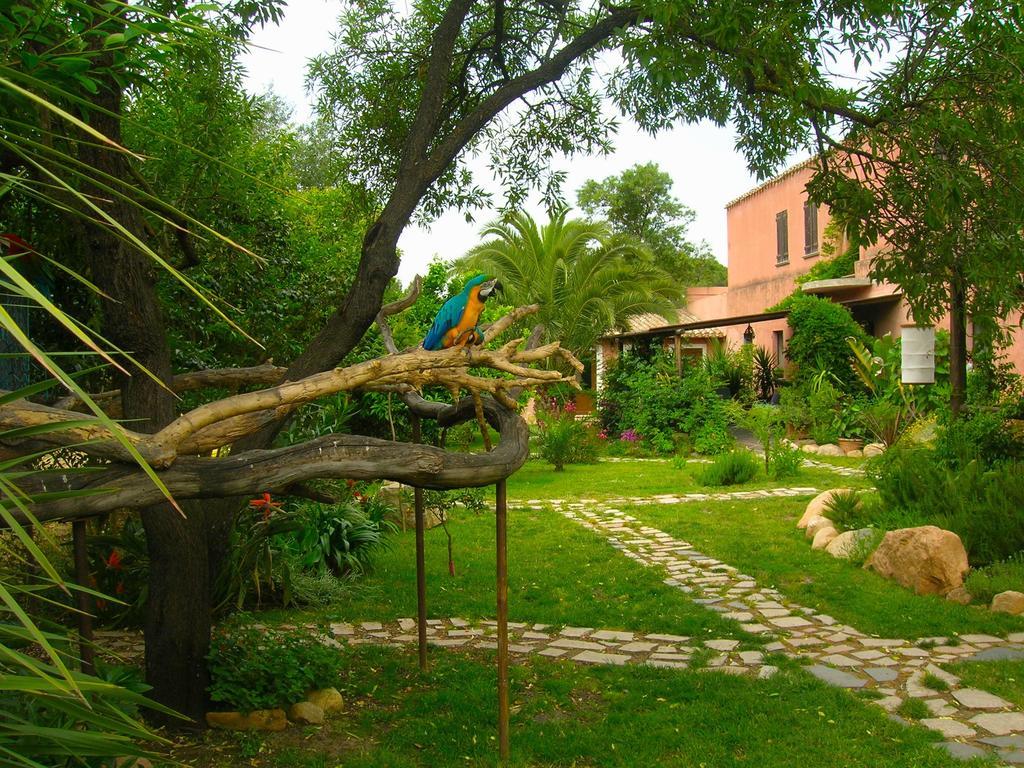 San Gregorio  La Fattoria Delle Tartarugheヴィラ エクステリア 写真