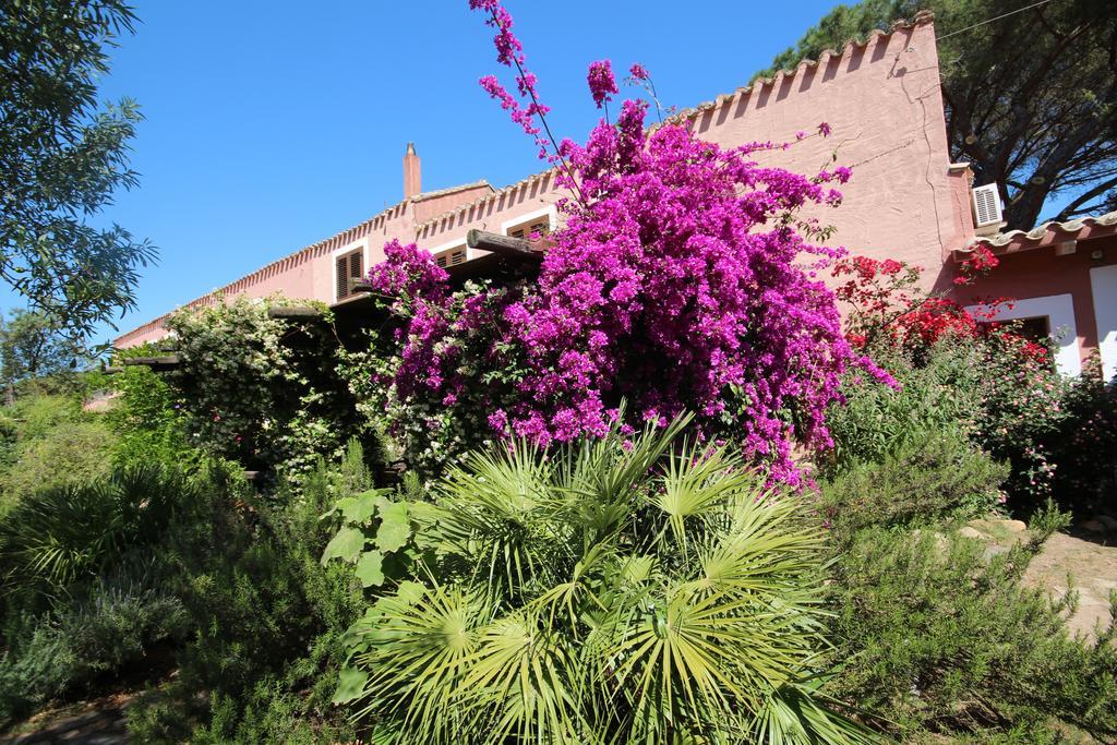 San Gregorio  La Fattoria Delle Tartarugheヴィラ エクステリア 写真