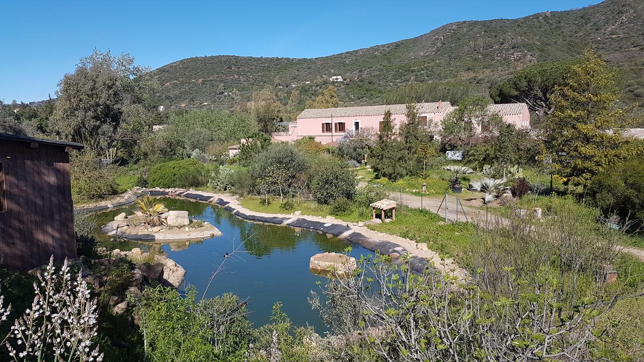 San Gregorio  La Fattoria Delle Tartarugheヴィラ エクステリア 写真