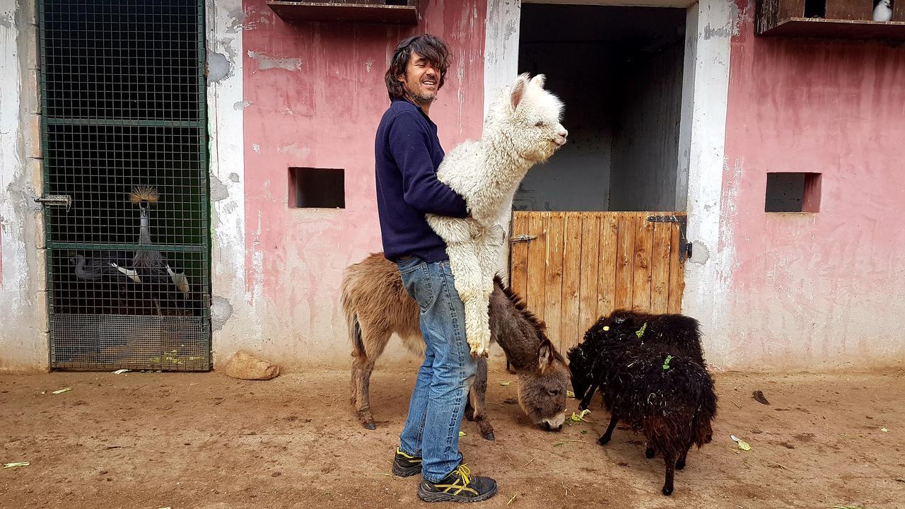 San Gregorio  La Fattoria Delle Tartarugheヴィラ エクステリア 写真